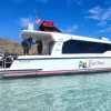 IMG-20260428-WA0008
