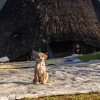 IMG-20260428-WA0018