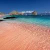 takashi-miyazaki-_MlyU5ipNnU-unsplash